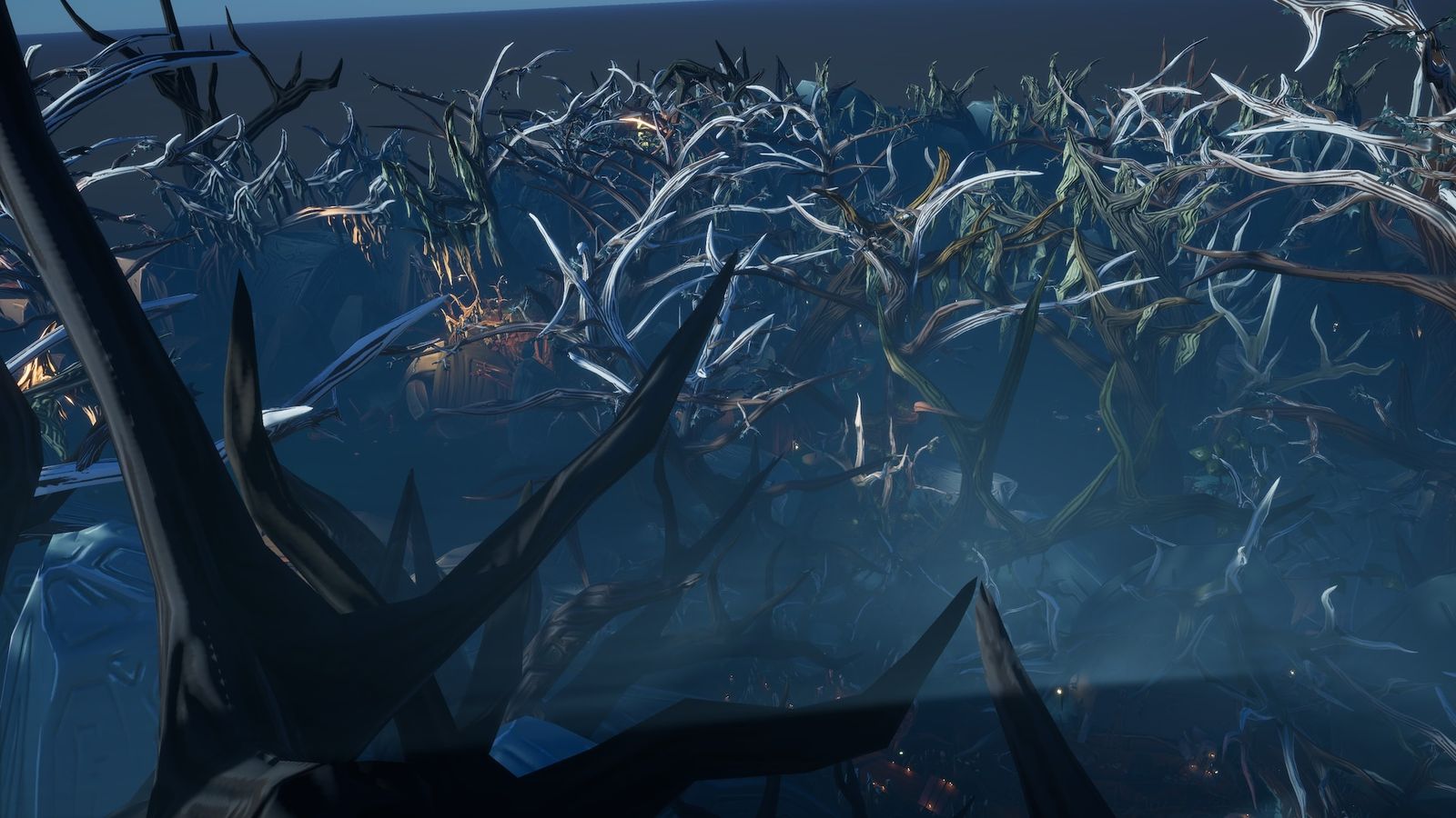 Looking out over the swamp from a high platform